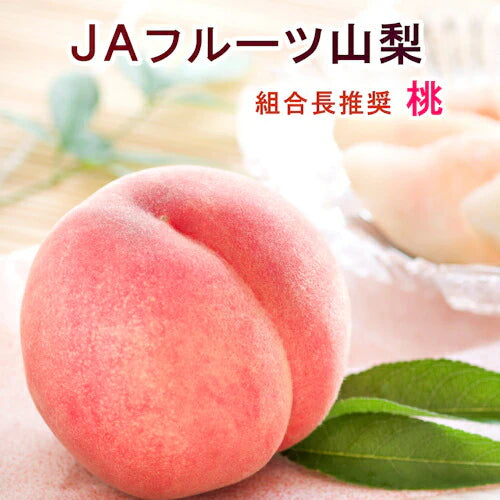【フルーツ 桃 もも 化粧箱入り】山梨県 ＪＡフルーツ山梨 ハウス栽培組合長推奨の 桃(白鳳系)最高品質 化粧箱5個入り 約1kg送料無料【果物 贈答品 ギフト】