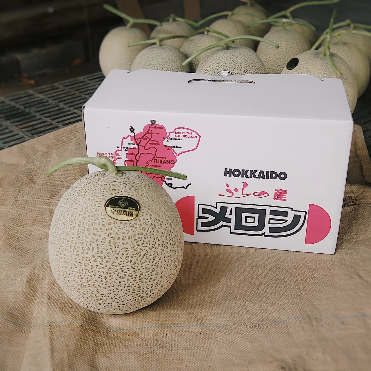 【訳あり】北海道富良野産赤肉メロン　１玉2.0ｋｇ以上　大玉　２玉入り　全国送料無料