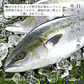 無添加 国産 天然 無塩 鰤 ぶり 切り身 30g×20切 魚 骨取り 骨なし 冷凍 解凍せずにそのまま使える 便利なひとくちサイズ 骨抜き 魚切り身 お弁当 弁当 塩焼き 照り焼き【C配送：冷凍】