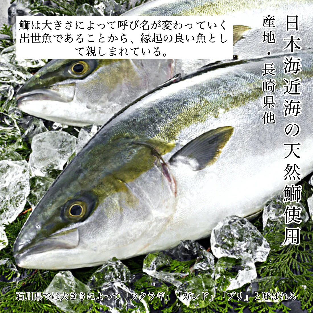 無添加 国産 天然 無塩 鰤 ぶり 切り身 30g×20切 魚 骨取り 骨なし 冷凍 解凍せずにそのまま使える 便利なひとくちサイズ 骨抜き 魚切り身 お弁当 弁当 塩焼き 照り焼き【C配送：冷凍】