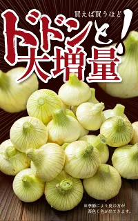 【送料無料】淡路島玉ねぎ 3キロ［Sサイズ～2Lサイズお任せ］＃訳ありたまねぎ3kg＃