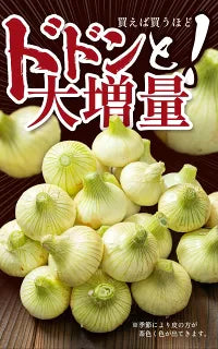 【カウシェうまいもん市場】【送料無料】淡路島玉ねぎ 3キロ［Sサイズ～2Lサイズお任せ］＃訳ありたまねぎ3kg＃