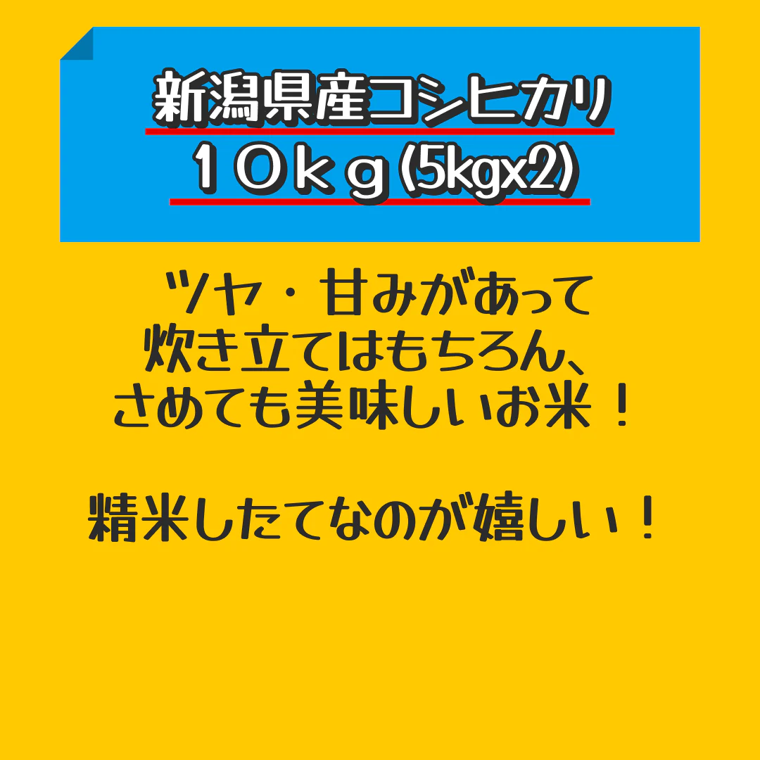 【家計お助けセール】令和４年産 新潟県産コシヒカリ １０ｋｇ(5kgx2) 1等米使用 出荷日前1週間以内の精米日の白米です
