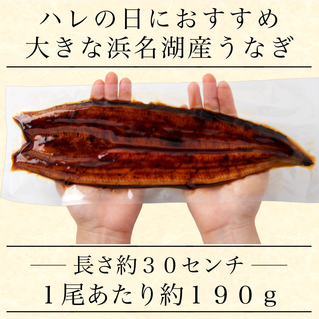 お中元ギフト 浜名湖 国産 うなぎ 蒲焼 無頭 特大サイズ 約190g×2尾【ギフト対応可】冷凍 鰻 浜名湖産 浜名湖うなぎ 国産うなぎ 蒲焼き うなぎ蒲焼 鰻蒲焼き 真空パック 3-4人前 中元 ギフト 夏ギフト 御中元 海鮮 土用の丑【C配送：冷凍】