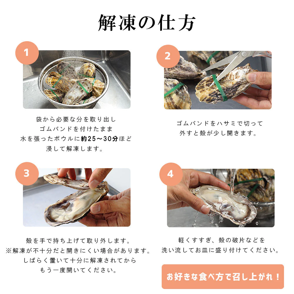 生食用殻付き牡蠣　12個入り