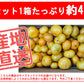 みかん 早生みかん 4kg ミカン 蜜柑 サイズミックス 果物 甘い 箱買い 産地直送 熊本みかん 熊本県産 ngs-007
