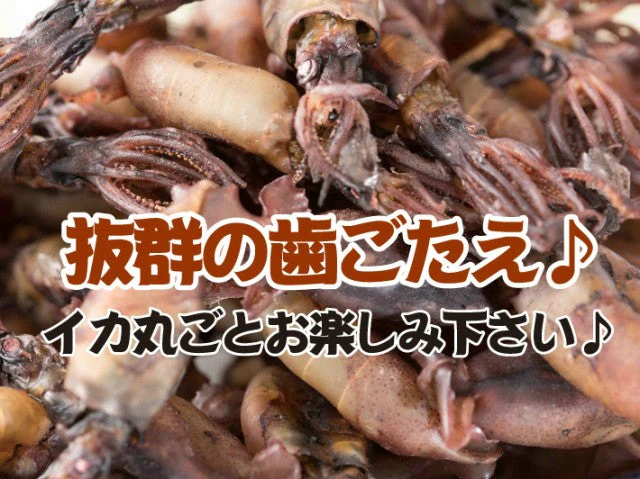 150g 国産 まめいか