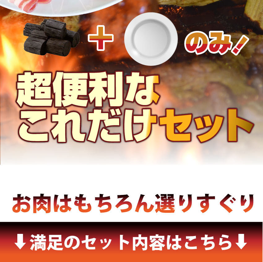 バーベキュー メガ盛り セット 冷凍たっぷり6～8人前 福袋 （ 総重量 2.1kg ）