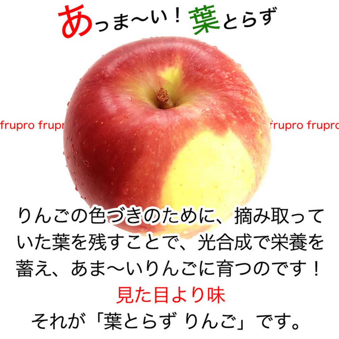 【2023年産予約開始！数量限定！】シナノゴールド 訳あり 約4.5kg(11-28玉) パリっと歯ごたえジューシー 10月下旬頃発送開始予定 #YAG0B045