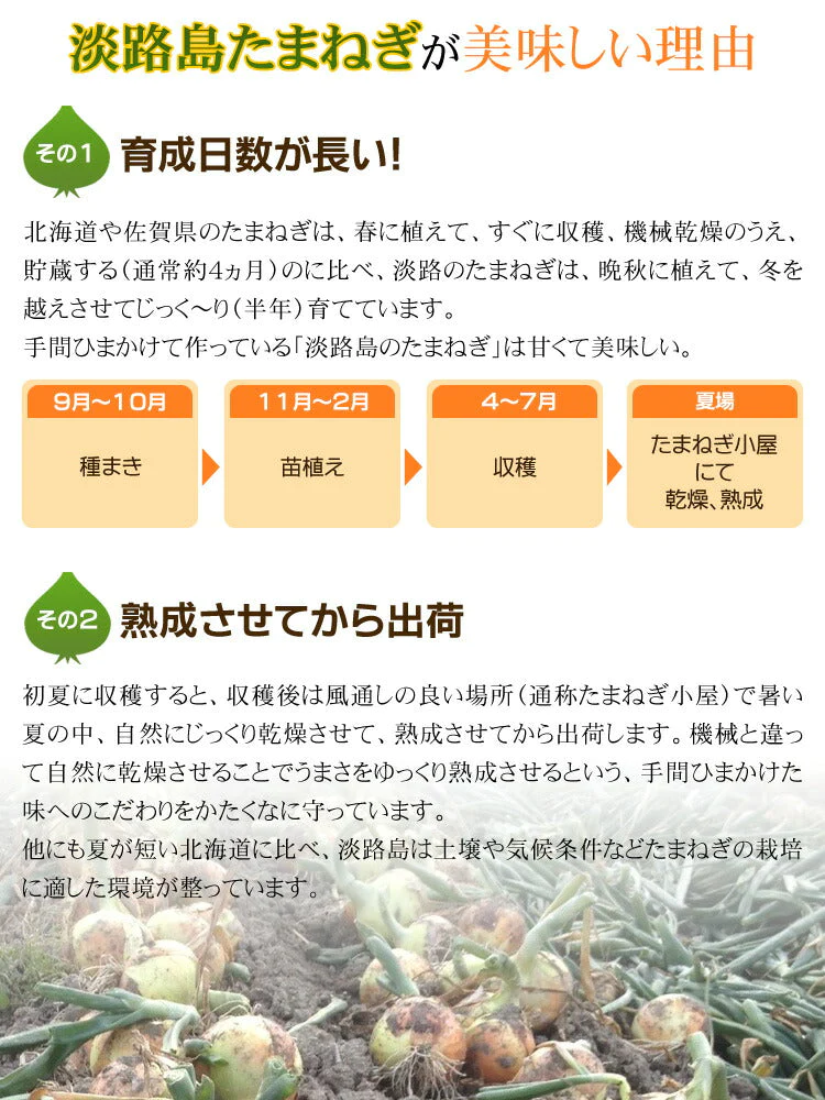 100g フライドオニオン 五つ星ひょうご選定商品