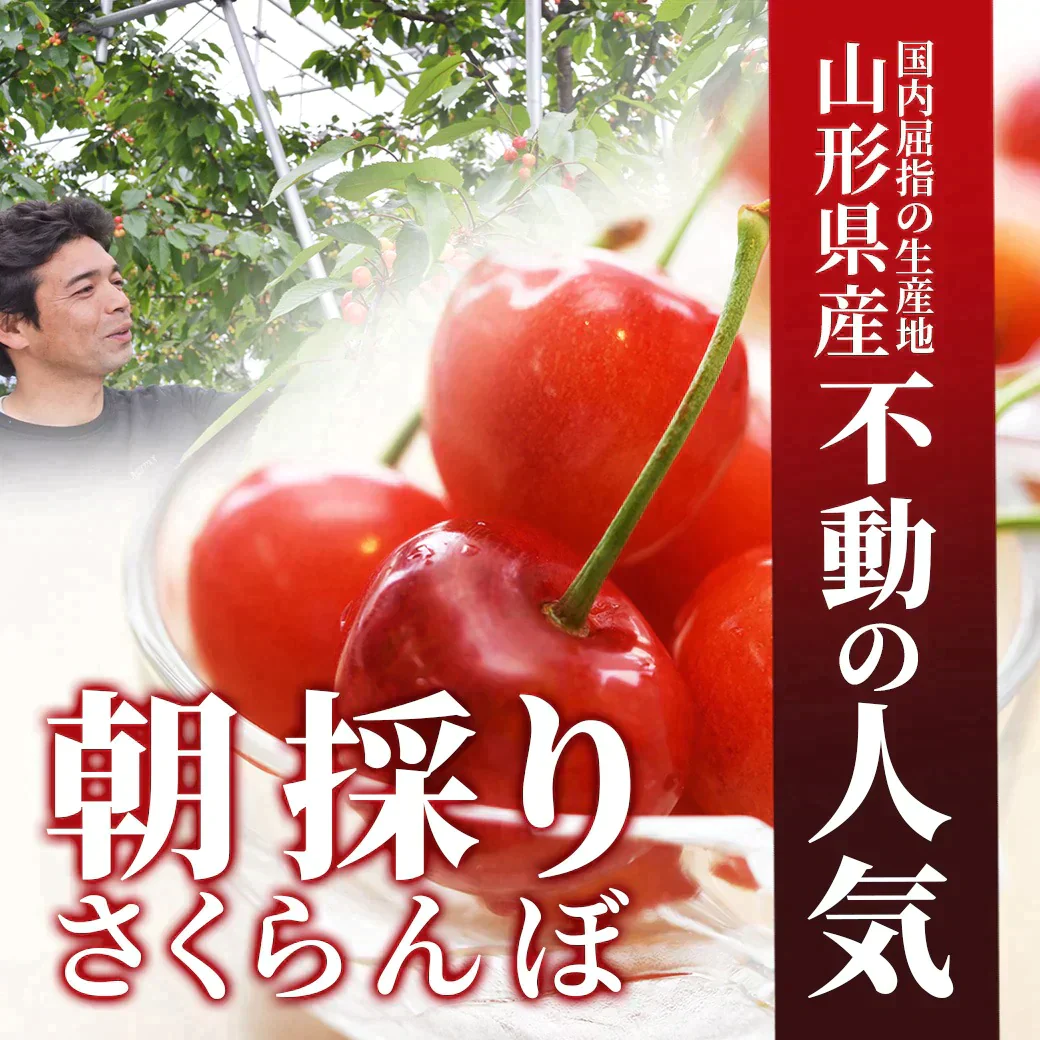【6月下旬発送】 さくらんぼ 佐藤錦 秀品 L玉 1kg 山形県産を産地直送！ 化粧箱入 お中元 ギフト お中元 ギフト 贈答品として人気です 送料無料 内祝い