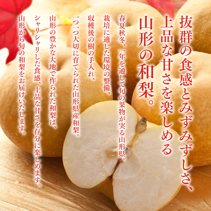 予約商品 産地直送 山形県酒田市産 刈屋梨 和梨 約3kg 送料無料※一部地域は別途送料追加 wn08