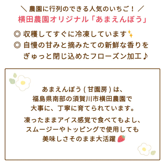 福島県産 フローズン いちご「甘園房～あまえんぼう」1パック (約480～500g) *　クール便 (クール便)