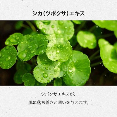 CICA 化粧水 Centella Asiatica Extract