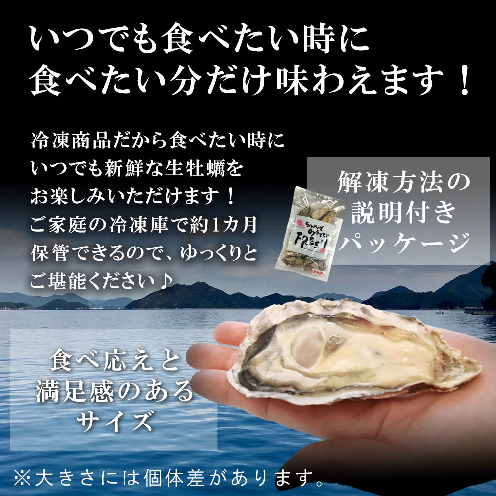 生食用殻付き牡蠣　12個入り
