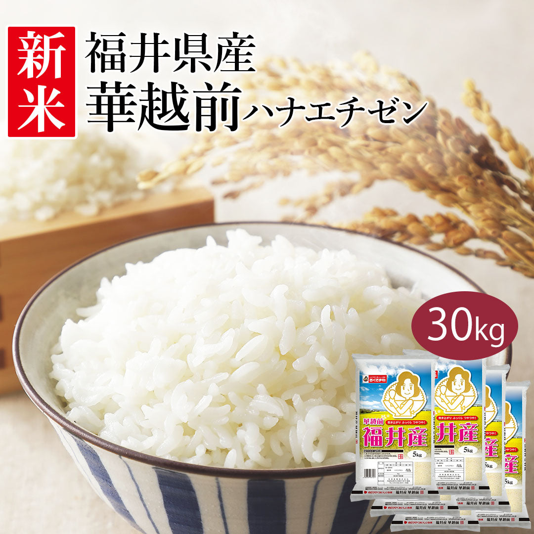 米 精米 福井県産 華越前 ハナエチゼン 30kg (5kg×6) 令和5年産 新米 お米 白米 おくさま印 国産 食品 ギフト 引っ越し 挨拶 出産 内祝い 母の日 父の日 お中元 お歳暮 結婚 快気 還暦 香典返し お年賀 送料無料
