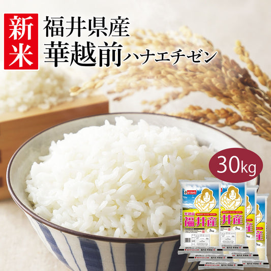 米 精米 福井県産 華越前 ハナエチゼン 30kg (5kg×6) 令和5年産 新米 お米 白米 おくさま印 国産 食品 ギフト 引っ越し 挨拶 出産 内祝い 母の日 父の日 お中元 お歳暮 結婚 快気 還暦 香典返し お年賀 送料無料