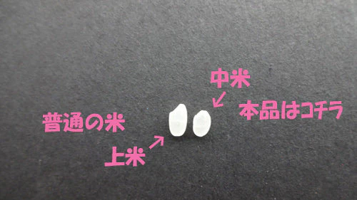 【タイムセール】無洗米 20kg｜2022年産　あきたこまち入り中粒白米