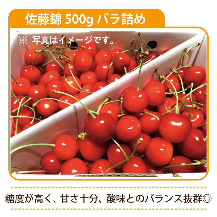 さくらんぼ（佐藤錦）　約500g（S～2L混合・ばら詰め）【特産品・ご当地特集】