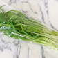 3~6品 京都伏見産ワクワク水耕野菜セット
