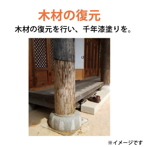 Mold ZERO モールドゼロ 強力カビ取り除菌剤 500ml