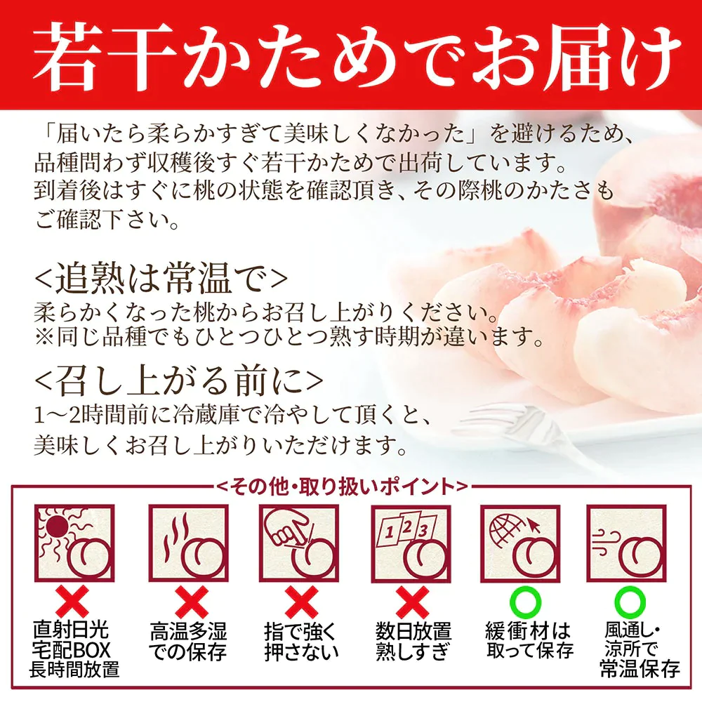 【8月上旬発送】 山形県産 白桃 3kg（約9～11玉前後） 秀品 産地直送の桃 あかつき お供え 川中島白桃 贈答用 ギフト 硬い桃 美晴 クール便発送・同梱不可 日時指定不可 送料無料 果物 フルーツ【エコ得SALE】