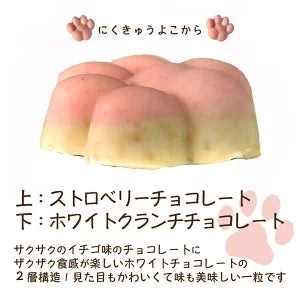 ★夏期休売　【北海道限定】北海道ねこってる【8個入×1箱】新千歳空港 お土産 猫好きにはたまらない プレゼントにも