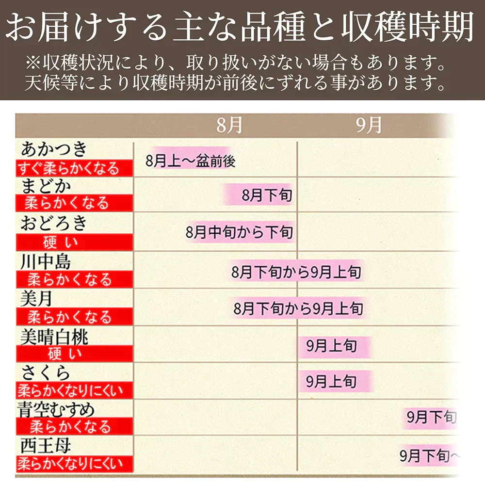 【8月上旬発送】 訳あり 山形 白桃 ２ｋｇ（６～１０玉前後）クール便 ！ちょっと訳あり桃 固い桃 柔らかい桃 を時期に応じてお届け 硬い桃 【品種指定不可】桃 送料無料 果物 フルーツ