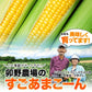 とうもろこし 卯野農場 すごあまこーん 6本入り【3L~Lサイズ / 約1.8kg-2.4kg前後】コーン トウモロコシ 朝採り スイートコーン お中元