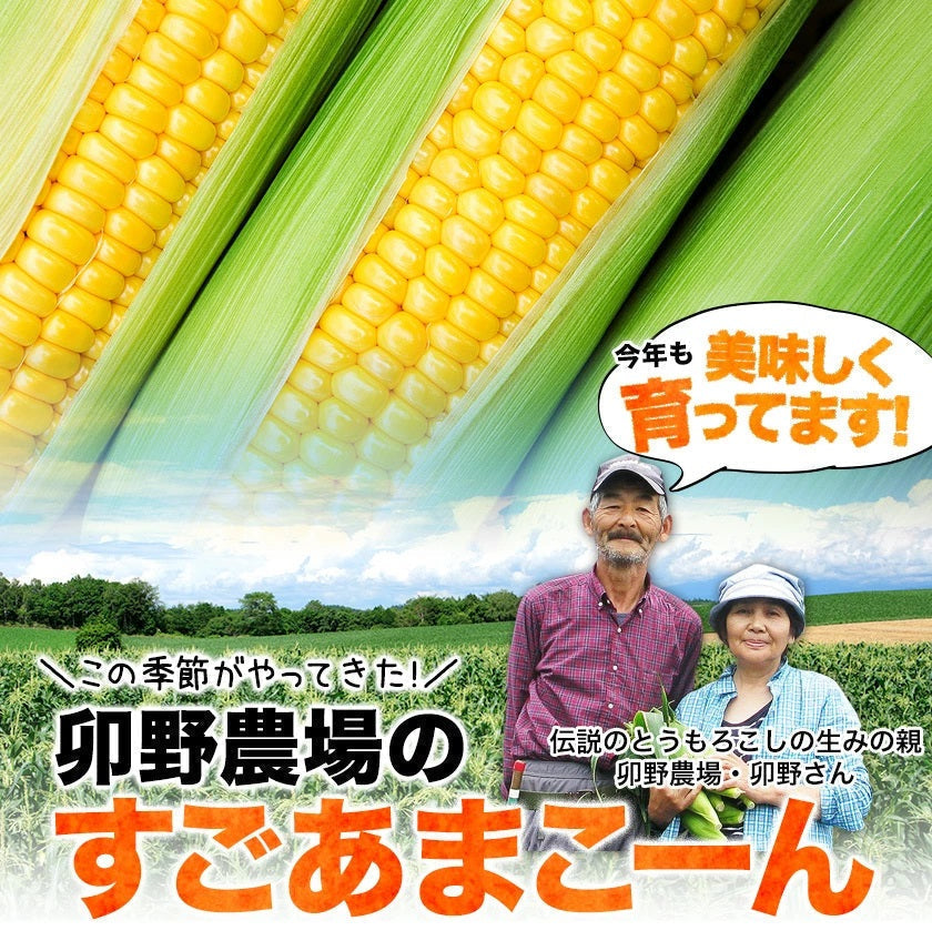 とうもろこし 卯野農場 すごあまこーん 6本入り【3L~Lサイズ / 約1.8kg-2.4kg前後】コーン トウモロコシ 朝採り スイートコーン お中元
