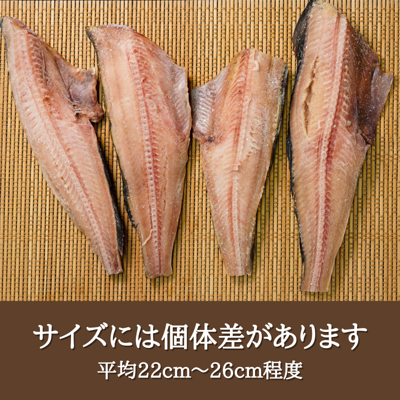 【訳あり】脂のりがいい！縞ほっけ干物（10枚セット）　干物　傷あり 訳あり おうちごはん プチ贅沢 無添加 国産 宮城産 グルメ お買得 まとめ買い 海鮮 縞ほっけ しまほっけ ホッケ ほっけ おつまみ 焼魚