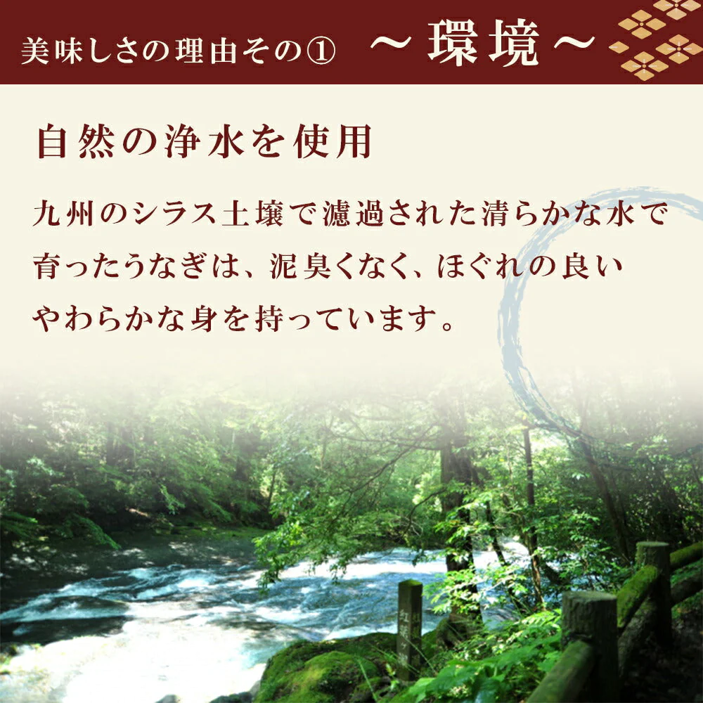 鹿児島産うなぎ蒲焼2尾セット