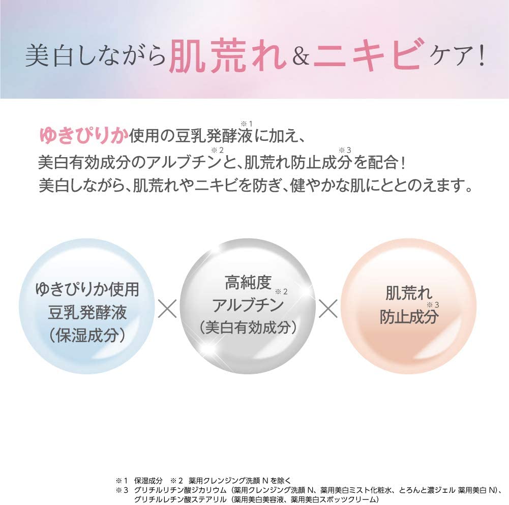 なめらか本舗 とろんと濃ジェル 薬用美白 N オールインワン つめかえ用 100g 詰替え用