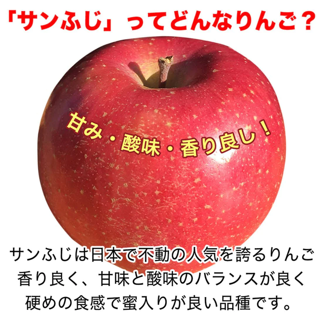 サンふじ 加工用 約3kg 7-16玉＃YAF0K030