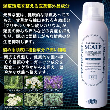 【タイムセール】【医薬部外品】2点セット 薬用スキャルプシャンプー＆トニックセット EARTHEART / 頭皮の悩み 乾燥 エイジングケア 育毛 シャンプー 美容室 シャンプー サロン品質