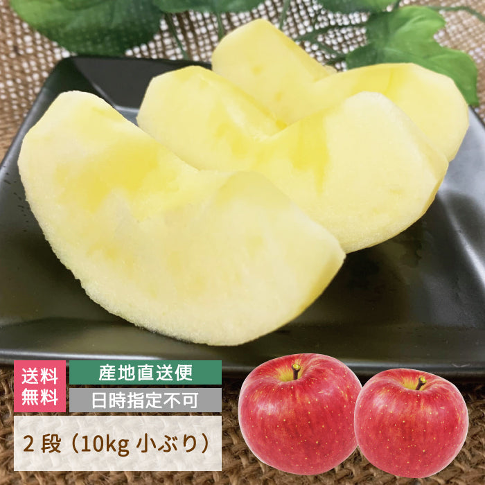 福島県産 サンふじりんご 10kg 小ぶり (18玉入り×2段) *