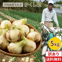 今井ファーム　 淡路島 新玉ねぎ かくし玉　５K  ＃かくし玉訳あり5Ｋ＃
