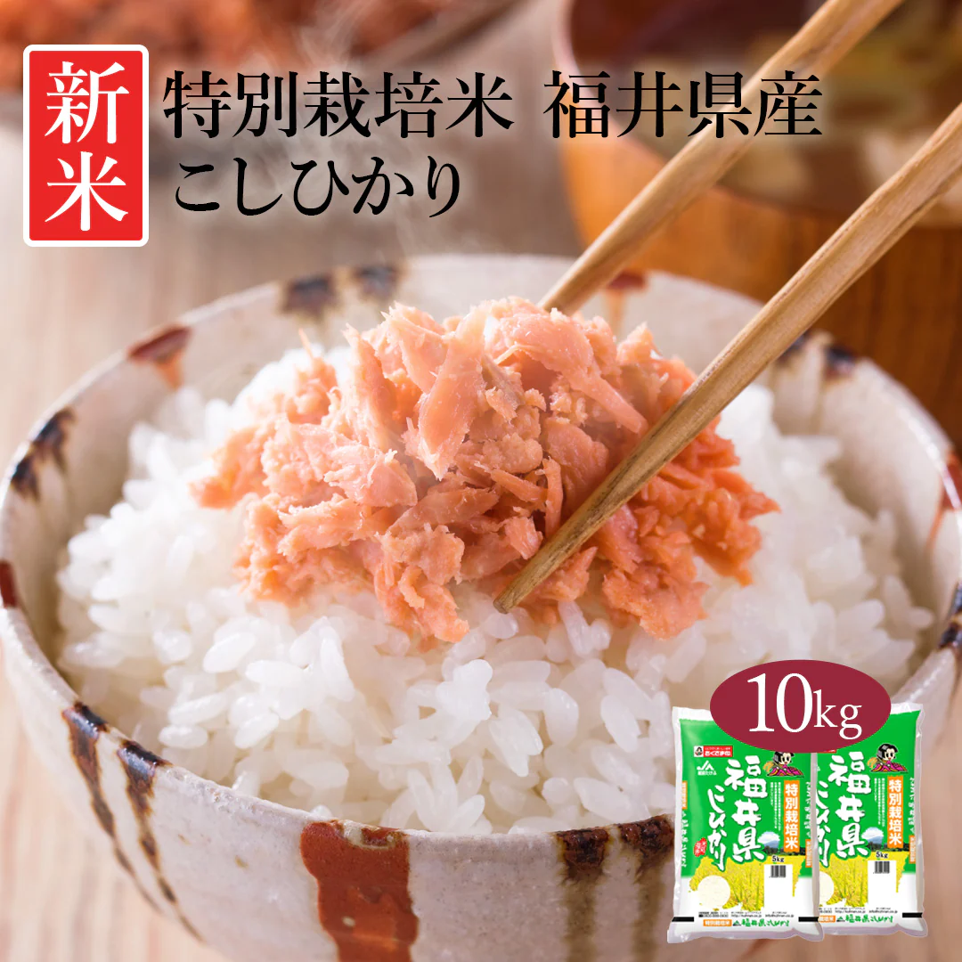 米 精米 福井県産 特別栽培米 こしひかり 10kg (5kg×2) 令和5年産 新米 お米 白米 おくさま印 国産 食品 ギフト 引っ越し 挨拶 出産 内祝い 母の日 父の日 お中元 お歳暮 結婚 快気 還暦 香典返し お年賀 送料無料