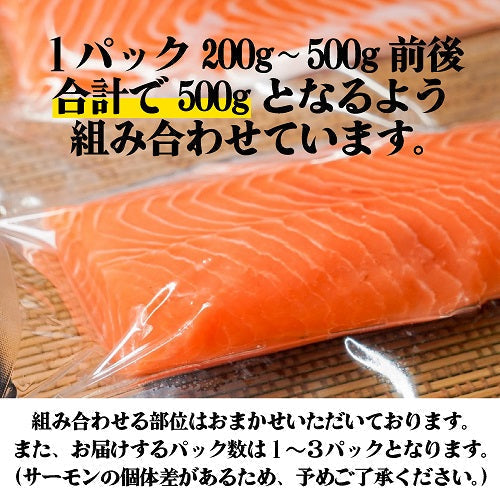 ノルウェーサーモン　たっぷり500g！  国内加工 沼津市 お祝い ギフト 真空 冷凍 サーモン 皮つき ふるさと 返礼品 お得 特大 刺身 寿司 生食可 お買い得 お得