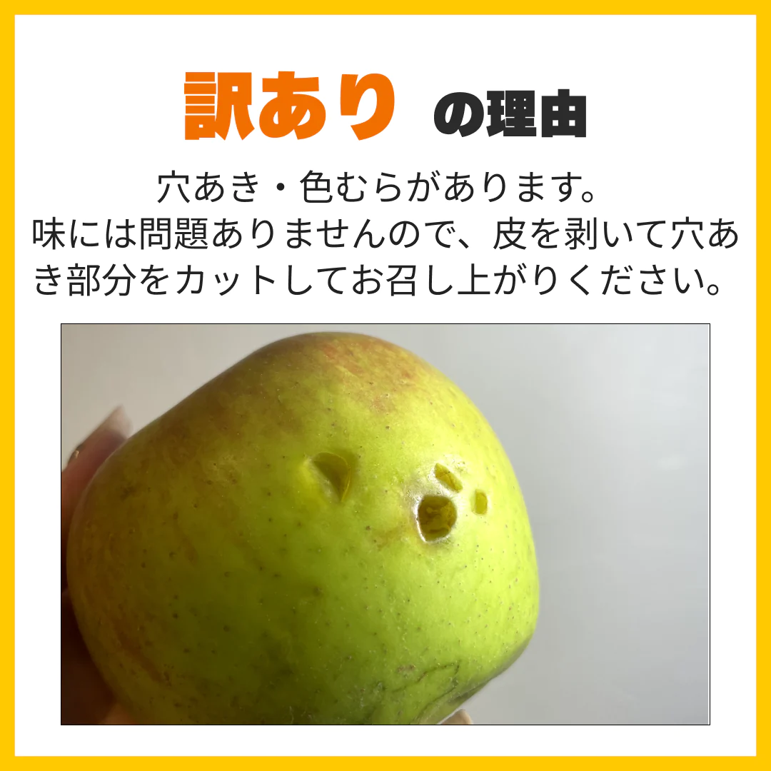 訳ありレスキューりんご 約5kg 長野県産 家庭用  品種混合 果物 フルーツ【順次出荷】【ゲリラセール】