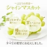 【完売御礼】【超得ハイパーSALE】【9月上旬順次発送】送料無料 岡山産 シャインマスカット 晴王 優品2房 800-900g ぶどう