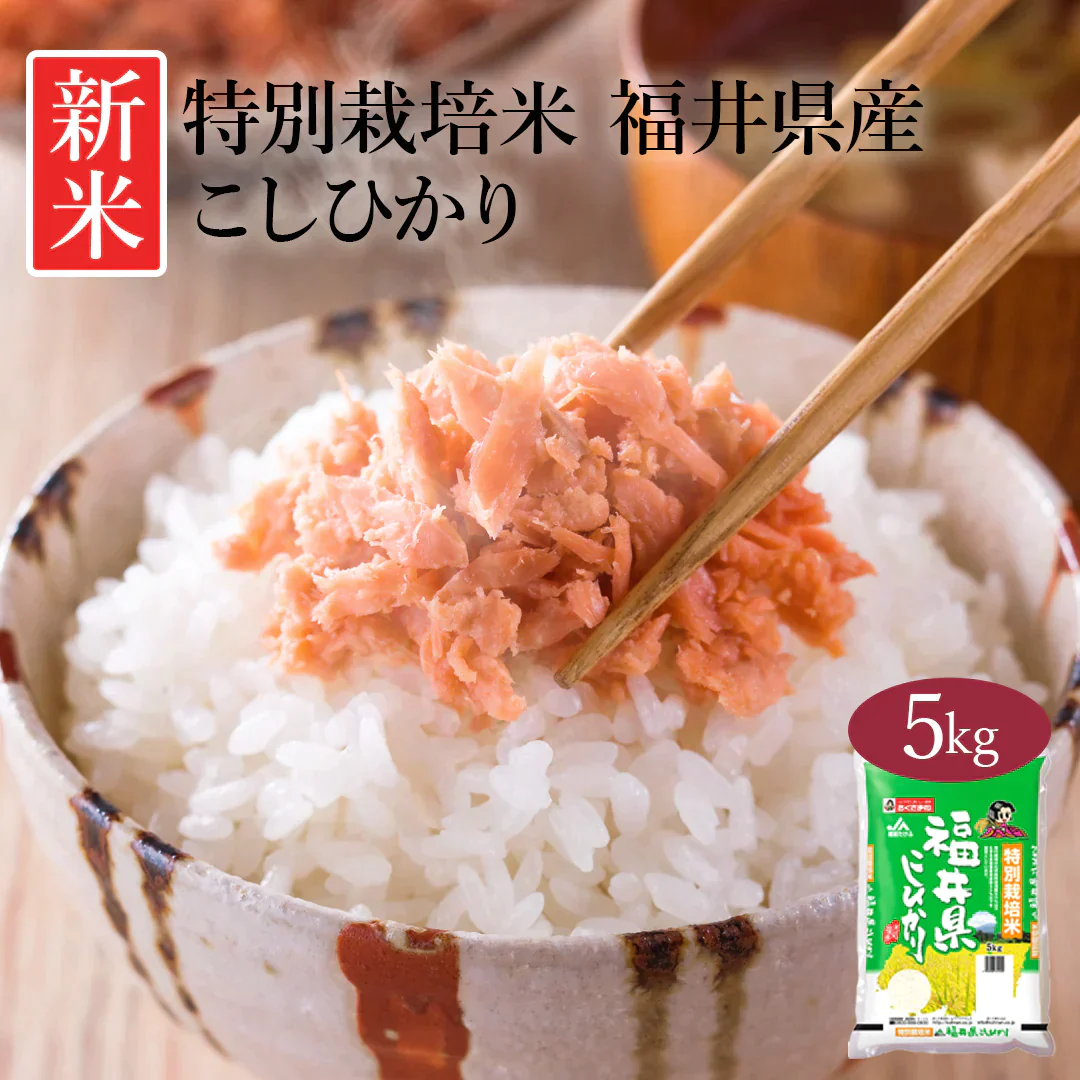 米 精米 福井県産 特別栽培米 こしひかり 5kg 令和5年産 新米 お米 白米 おくさま印 国産 食品 ギフト 引っ越し 挨拶 出産 内祝い 母の日 父の日 お中元 お歳暮 結婚 快気 還暦 香典返し お年賀 送料無料