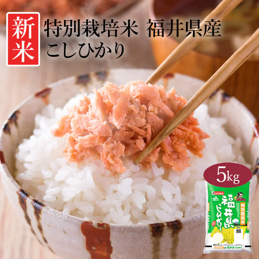 米 精米 福井県産 特別栽培米 こしひかり 5kg 令和5年産 新米 お米 白米 おくさま印 国産 食品 ギフト 引っ越し 挨拶 出産 内祝い 母の日 父の日 お中元 お歳暮 結婚 快気 還暦 香典返し お年賀 送料無料