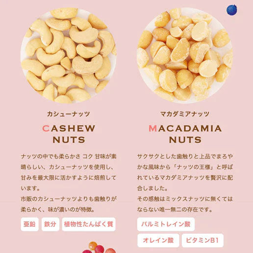 【超得ハイパーSALE】500g 2種のベリー入りミックスナッツ『ラッキーベリーナッツ 』 (250g×2)無塩 ナッツ くるみ カシューナッツ アーモンド クランベリー ワイルドブルーベリー 送料無料
