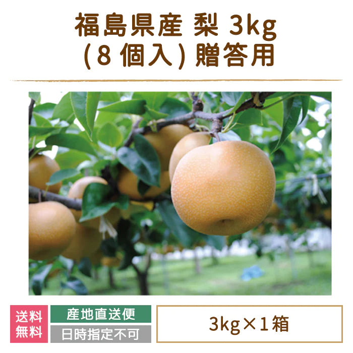 福島県産 梨 3kg  (4～7個入) 贈答用 鏡石町 *【特産品・ご当地特集】