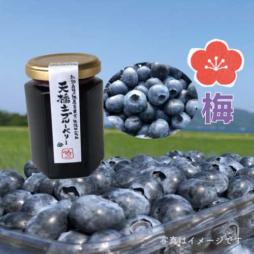 野菜の駅一周年お客様感謝祭　栽培期間中無農薬で育てた天橋立ブルーベリー【梅】
