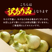 今井ファーム　 淡路島 新玉ねぎ かくし玉　５K  ＃かくし玉訳あり5Ｋ＃