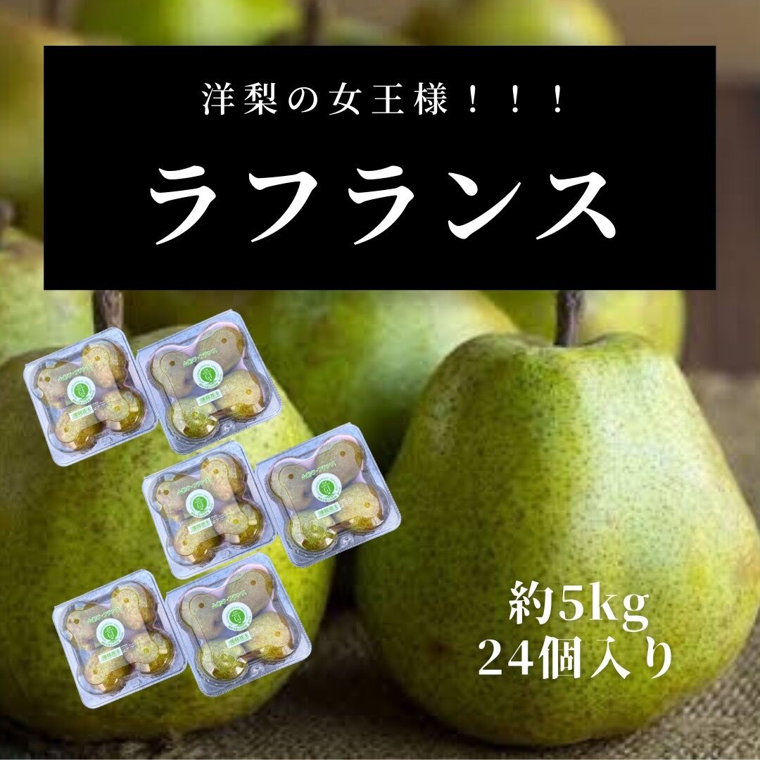 山形県産　ラ・フランス　約5kg 24個入り