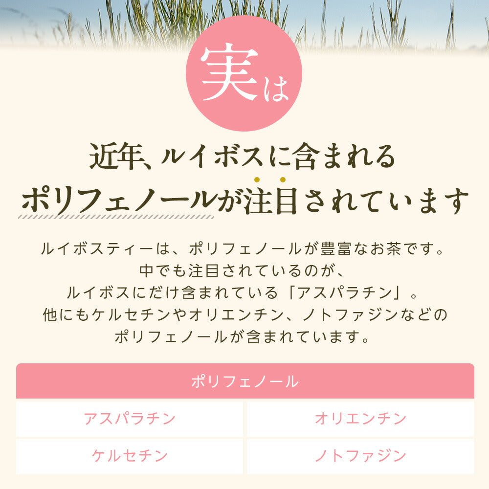 フレーバード ルイボスティー お試しセット 【送料無料】 【 お試しセット フレーバード ブレンド茶 お茶 アイスでも美味しい プチギフト 】ルイボス ルイボスティー
