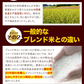 無洗米 10kg (5kg ×2袋) 熊本県産 令和4年産 ひのひかり 6割使用 コメ 精米 白米 熊本ふるさと無洗米【リピート】《7-14営業以内に出荷予定(土日祝日除く)》
